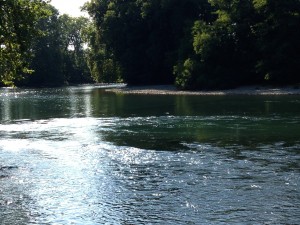 IMG_1317